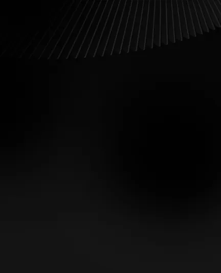 INTERNATIONAL SERVICES